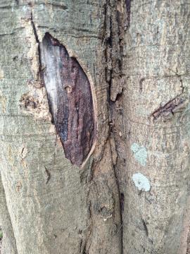 WhatsApp Image 2026-01-20 at 09.35.43