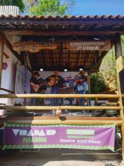 57 - Domingueira da Viola, que integrou também à Virada SP. Foto - Talita Faria