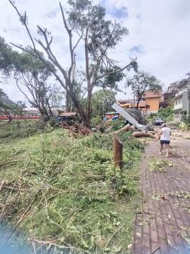 WhatsApp Image 2025-11-10 at 10.00.33 (3)