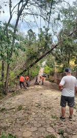 WhatsApp Image 2025-11-10 at 10.00.33 (4)