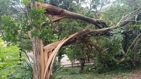 WhatsApp Image 2025-11-10 at 10.00.33 (6)