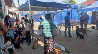 g_63_10_8_15092022103608