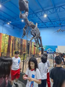 WhatsApp Image 2025-11-28 at 17.55.43 (4)