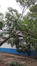 WhatsApp Image 2025-11-10 at 10.00.52 (2)