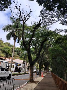 WhatsApp Image 2026-01-20 at 09.35.44 (1)