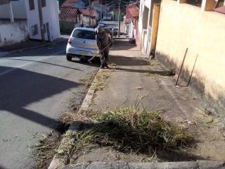 WhatsApp Image 2023-06-28 at 16.16.28