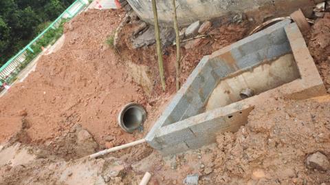 WhatsApp Image 2026-01-17 at 07.14.24