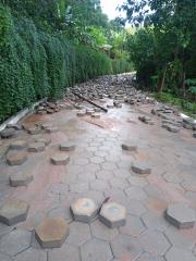 WhatsApp Image 2024-02-24 at 19.19.43