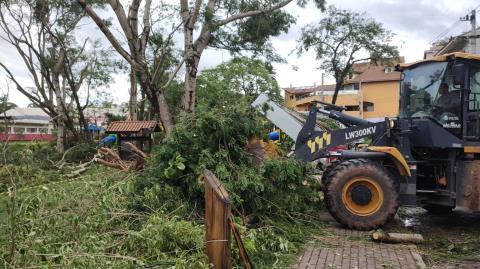 WhatsApp Image 2025-11-10 at 10.00.52