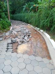 WhatsApp Image 2024-02-24 at 19.19.44