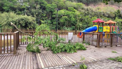 WhatsApp Image 2025-11-10 at 10.02.42