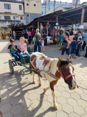fazendinha 2023 (4)