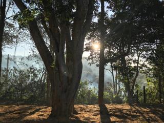 WhatsApp Image 2023-07-06 at 08.14.16 (2)