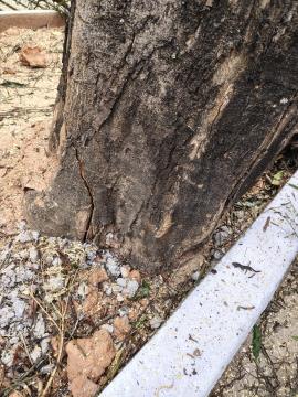 WhatsApp Image 2026-01-20 at 09.35.44 (2)