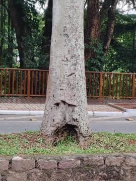 WhatsApp Image 2026-01-20 at 09.36.28 (3)