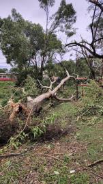 WhatsApp Image 2025-11-10 at 10.05.39 (4)