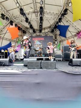 WhatsApp Image 2026-02-17 at 13.59.13 (4)