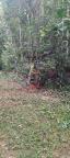 WhatsApp Image 2025-03-21 at 15.23.58