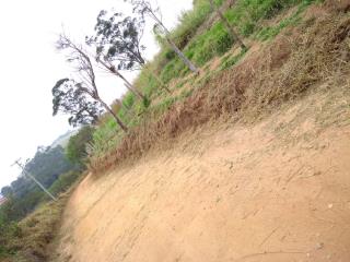 WhatsApp Image 2022-07-01 at 17.29.39