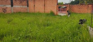 WhatsApp Image 2025-03-21 at 15.23.59