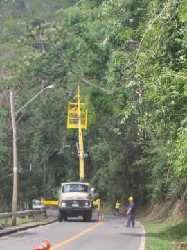 WhatsApp Image 2026-01-20 at 09.36.28