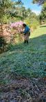 WhatsApp Image 2025-03-21 at 16.00.40