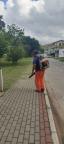 WhatsApp Image 2025-03-14 at 15.45.58