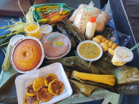 WhatsApp Image 2026-02-19 at 12.19.34