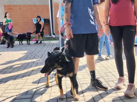 IMG_20251207_081003613_HDR