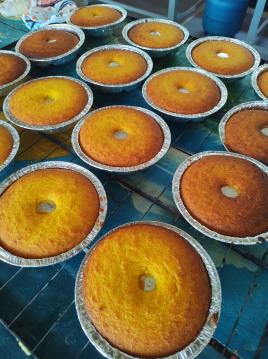 WhatsApp Image 2026-02-19 at 12.19.35