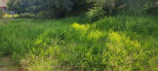 WhatsApp Image 2025-03-14 at 15.46.00 (1)