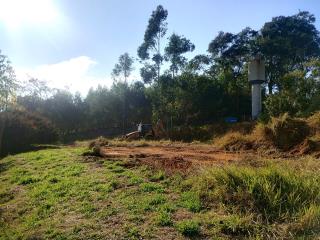 06 - Serviço de terraplanagem já sendo executado no local pela empresa responsável pelas obras.