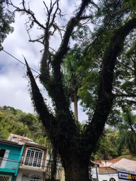 WhatsApp Image 2026-01-20 at 09.35.44