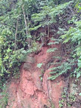 WhatsApp Image 2026-01-20 at 09.36.29 (1)