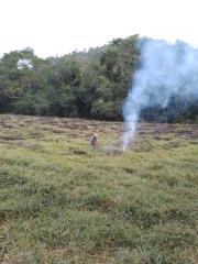 a981a7c1-e0a5-4dbe-8441-83de83873adb