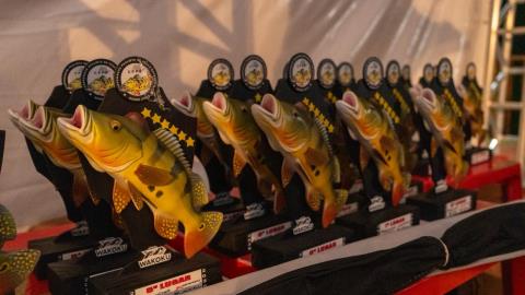 WhatsApp Image 2026-01-27 at 09.31.57