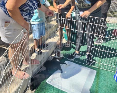 IMG_20251207_094626494_HDR