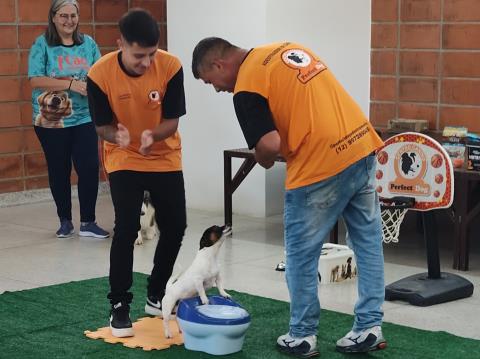 IMG_20251207_100216946