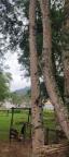 WhatsApp Image 2025-03-14 at 15.46.01