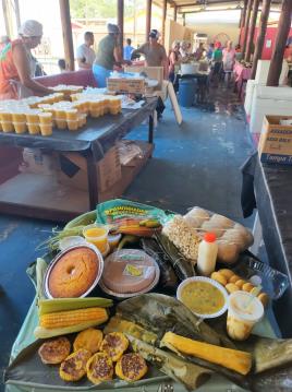 WhatsApp Image 2026-02-19 at 12.19.47