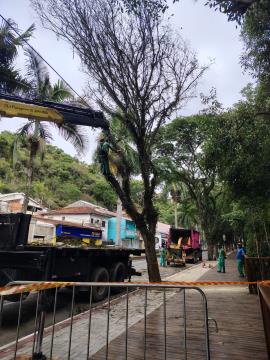 WhatsApp Image 2026-01-20 at 09.35.45