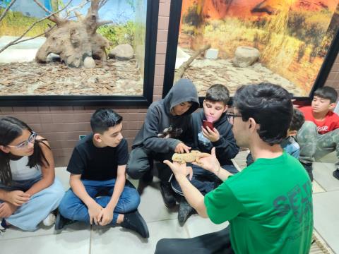 WhatsApp Image 2025-11-28 at 17.35.27 (1)