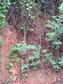 WhatsApp Image 2026-01-20 at 09.36.29 (2)