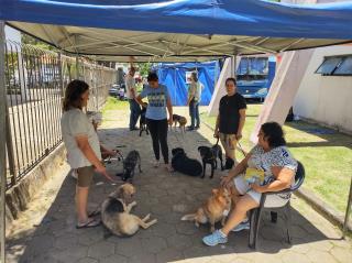 g_63_1_17_21112022210619