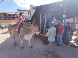 fazendinha 2023 (8)