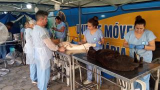 g_63_2_1_26042022102429