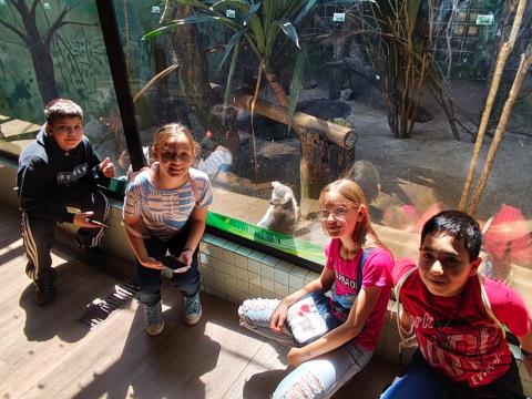 WhatsApp Image 2025-11-28 at 17.35.28