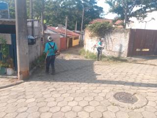 WhatsApp Image 2025-03-12 at 16.56.08