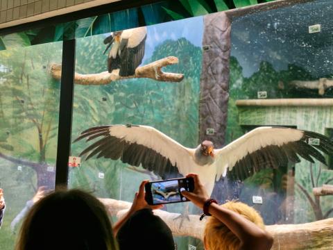 WhatsApp Image 2025-11-28 at 17.44.05 (2)