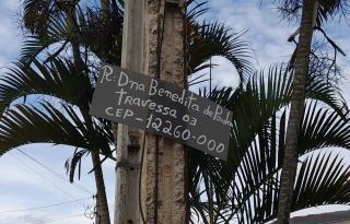 Placa (1)